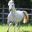 imprintfarm.com
