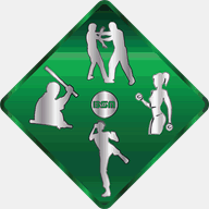 bursaspormerkezi.com