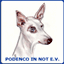 podenco-in-not.de