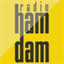 radiohamdam.com