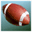 gopigskin.com