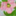 joyelement.wordpress.com