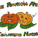 thepumpkinpatchnursery.co.uk