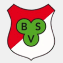 bsv-h.de