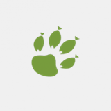 pouyllau.org