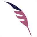 codetowellness.com