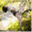 rixij.wordpress.com
