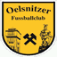 oelsnitzer-fc.de