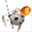 wmax.pl