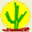 cactus.gr