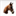 maplecrescentfarm.com