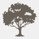 balancedbusinessconcepts.com