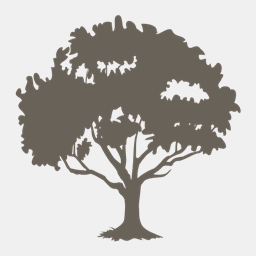 balancedbusinessconcepts.com