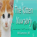 kittennursery.net