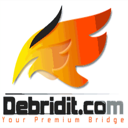 debridit.com