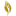 piacek.org