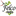 felcopruner.net