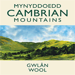 cambrianmountainswool.org