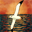 albatross-kaikoura.co.nz