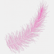 femmeforum.com