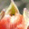 creamaaike.wordpress.com