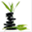 sparkoflifestudio.com