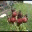 heirloomhelp.wordpress.com
