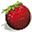 strawberrytour.com