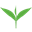 helloalex.net