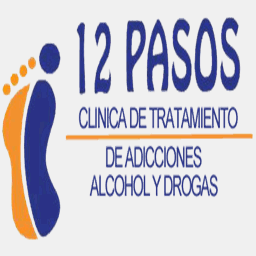 clinica12pasos.com