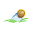 cevizfidani1.com
