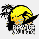 baylerview.com