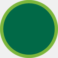 greenvillecounty.net