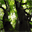 libertessence.over-blog.com