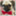 theclassydog.wordpress.com