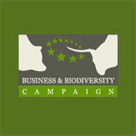 businesscreditbuilders.com