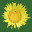 ebcnps.org