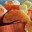 orchidtreeresturant.wordpress.com