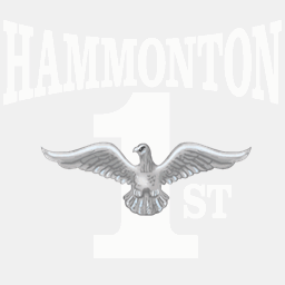 hammonton1st.com