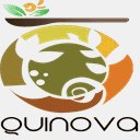 quinova.co.uk