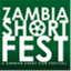 zambiashortfilmfest.com