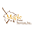 mapleprintservice.com