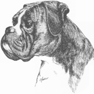 blackfarmerssettlementsmoneyfunds.com