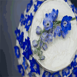 selahvphotography.com