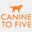 caninetofiveferndale.com