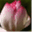 jiab007.wordpress.com
