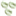 mcgrecof.net
