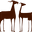 payoya.com
