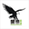 m.weixing007.com