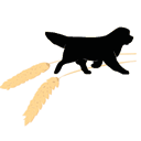 prairiehomenewfs.com